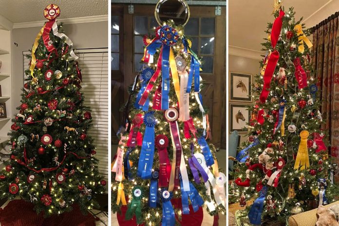 Over the Christmas Trees: A Warm Choice for Horse Enthusiasts