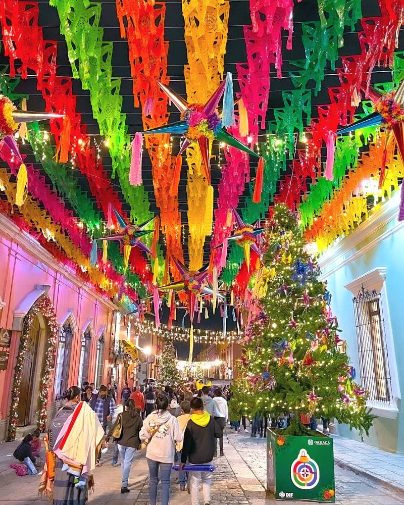 Discover the Perfect Christmas Gift from Mexico: A Latin American Cultural Feast for Your Teacher