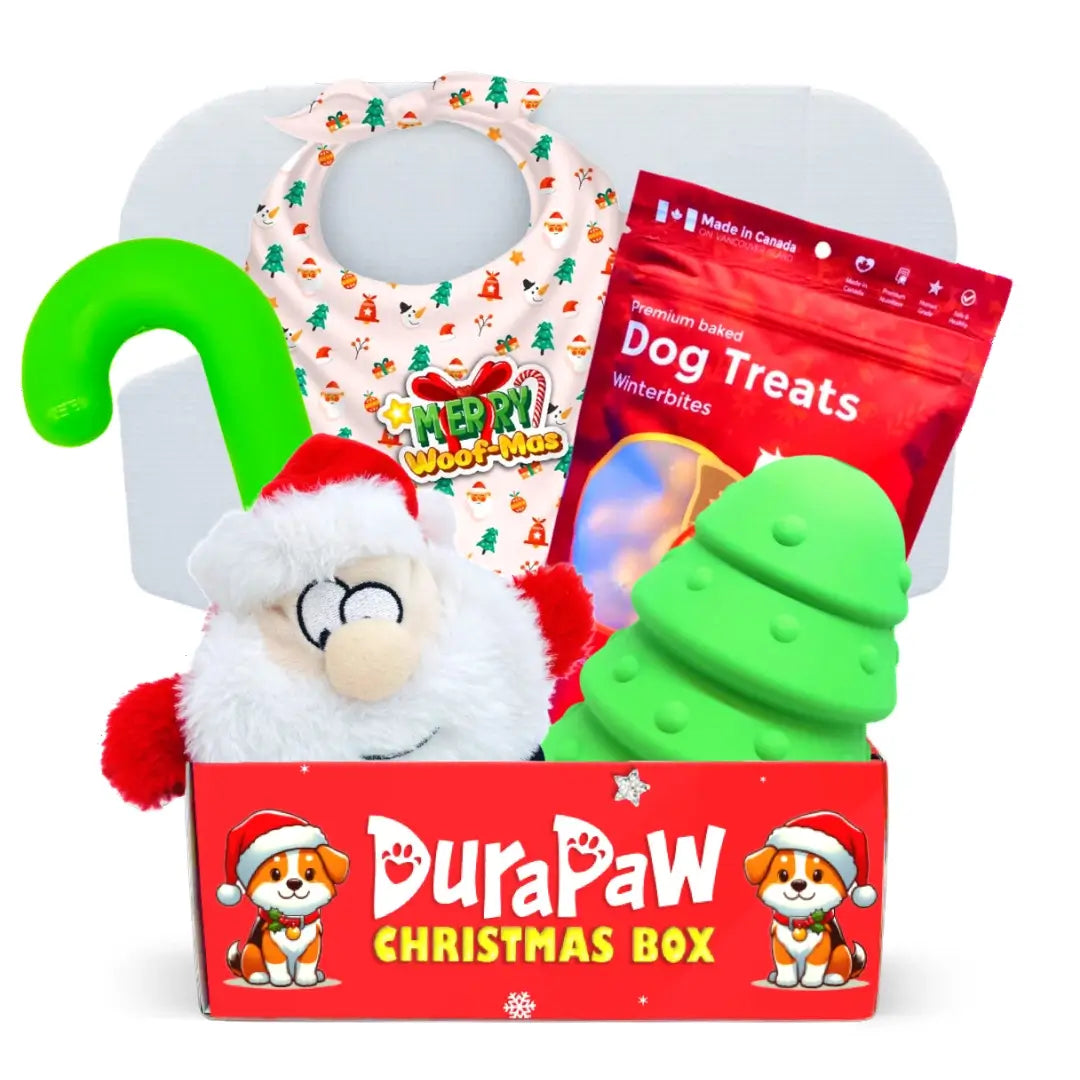 Uniquely Warm Christmas Dog Gift Packaging: A Touch of Festivity for Your Cleaning Lady!