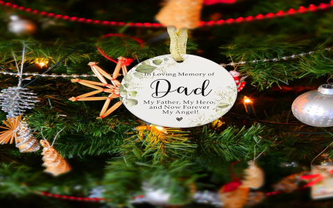 Christmas Jewelry Gifts: Radiant Light, Eternal Holiday Choice for Dads